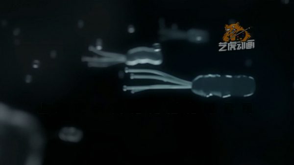 醫(yī)學(xué)三維動(dòng)畫制作